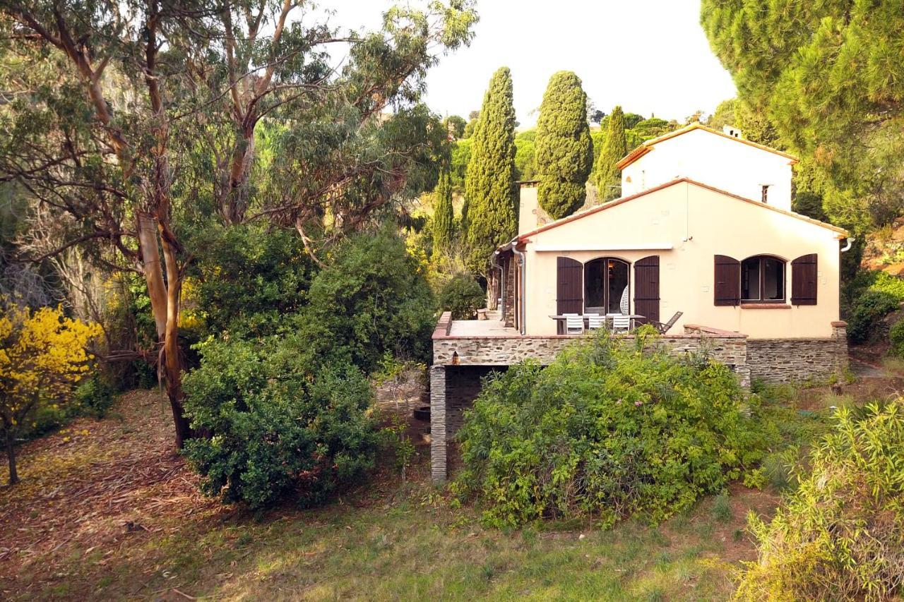 Mas De La Croette Collioure Villa Luaran gambar
